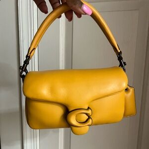 Buttercream Coach Tabby